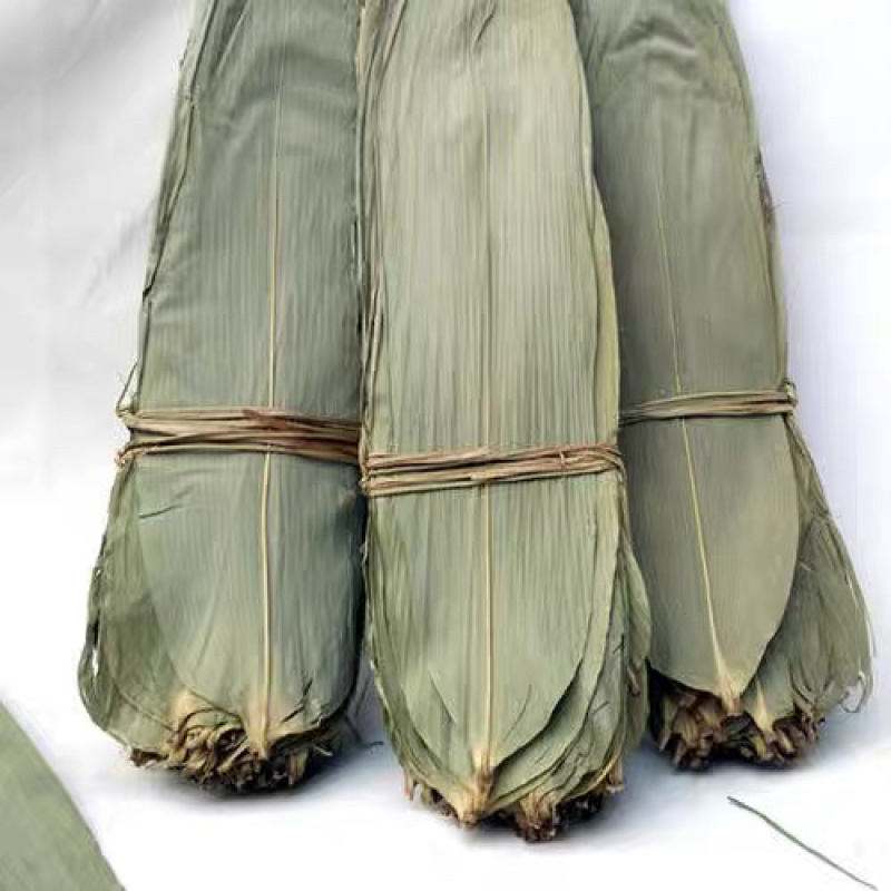 烤干箬竹叶粽叶