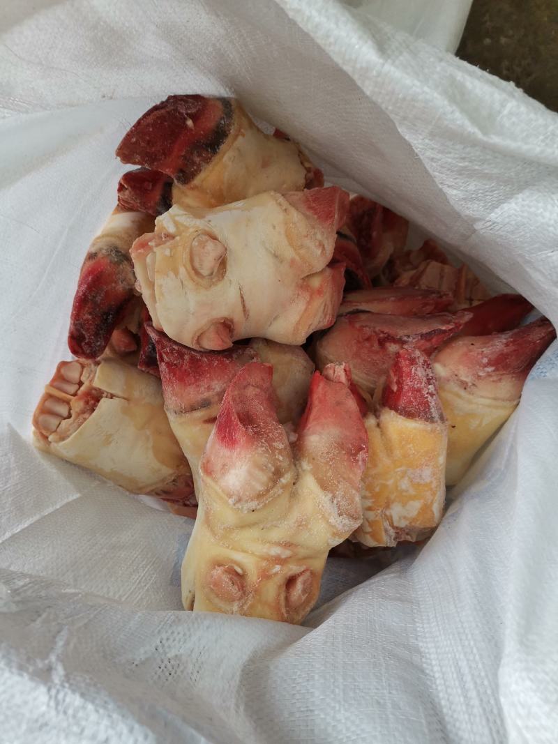 牛脚掌，牛蹄，牛掌