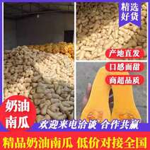 汉中城固奶油南瓜，南瓜，干面甜，量大，一手货源，全国