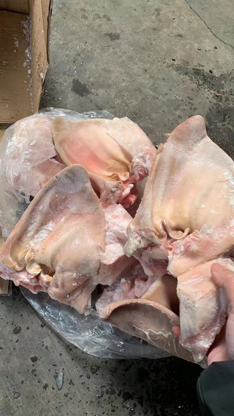 鲜冻猪耳朵，开袋即食猪耳朵，跑地摊江湖产一手货源价格美丽