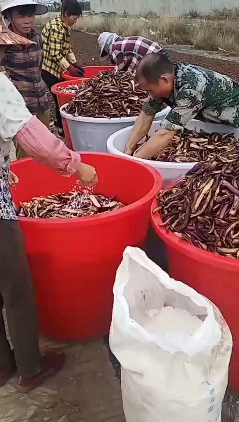 无盐干茄子（条）（片），原汁原味。餐饮酒店批发商食堂单位