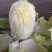 定西高原夏菜