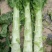 定西高原夏菜