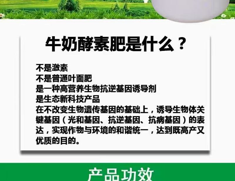 牛奶酵素肥