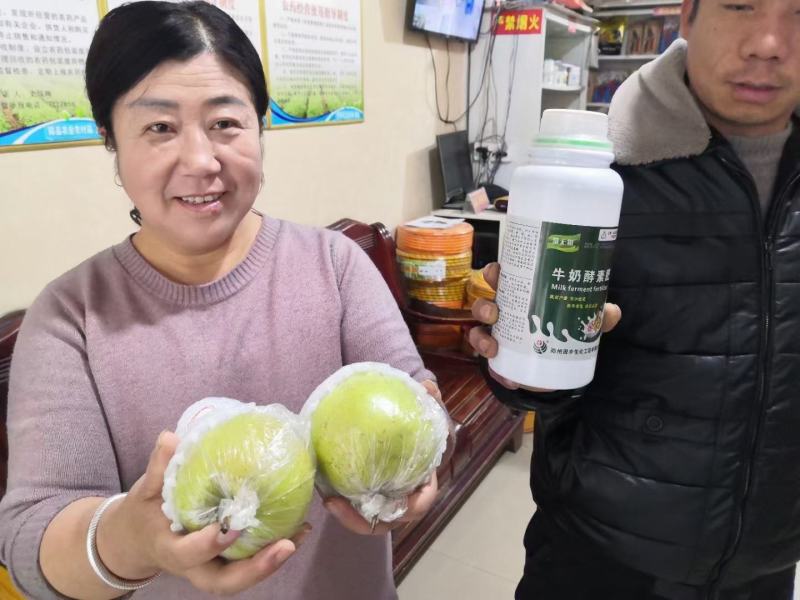 牛奶酵素肥