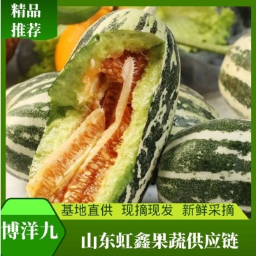 山东惠民博洋9号甜瓜，甜脆多汁，精品货源，量大从优