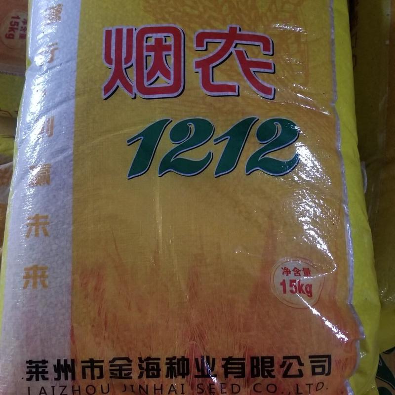 优质高产小麦品种烟农1212，又创新高，847.1公斤，