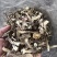 鹿茸菇来自大山里的美味煲汤鲜炒来自菌类的味道鹿茸菇