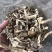 鹿茸菇来自大山里的美味煲汤鲜炒来自菌类的味道鹿茸菇