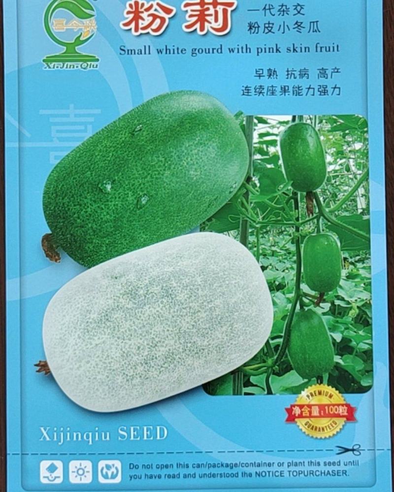 粉莉实心小冬瓜种早熟耐热口感绵软清甜爬地撘架均可