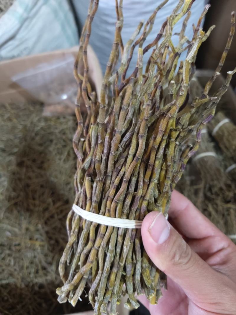 铁皮石斛