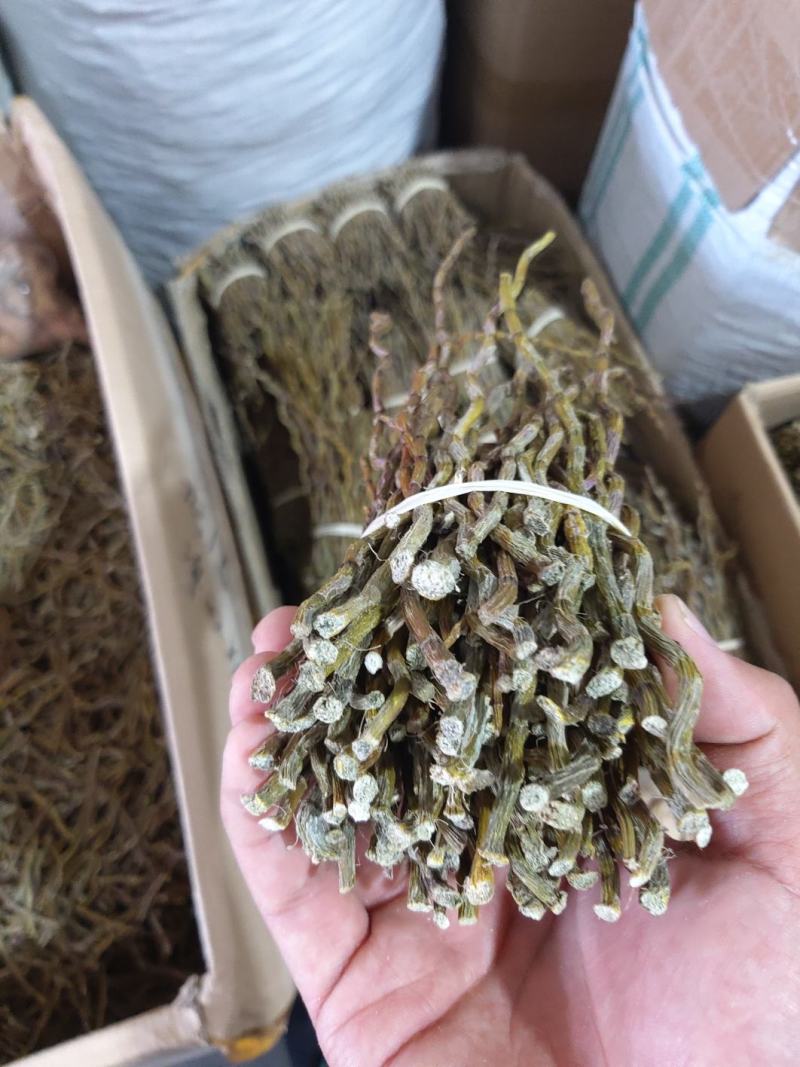 铁皮石斛