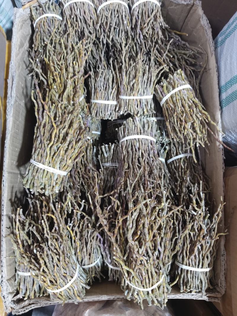 铁皮石斛