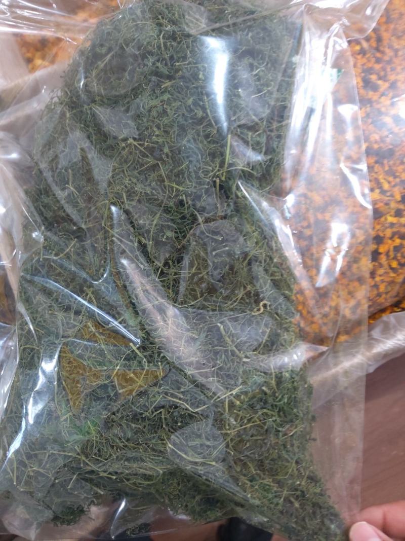 绞股蓝