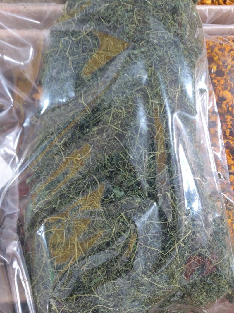 绞股蓝