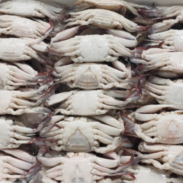 三点蟹60-80克一只规格，蟹肉饱满，厂家直销