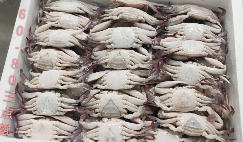 三点蟹60-80克一只规格，蟹肉饱满，厂家直销