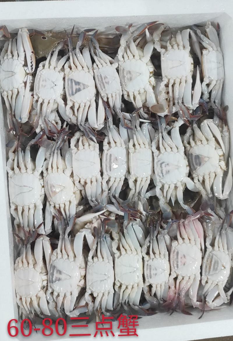 三点蟹60-80克一只规格，蟹肉饱满，厂家直销