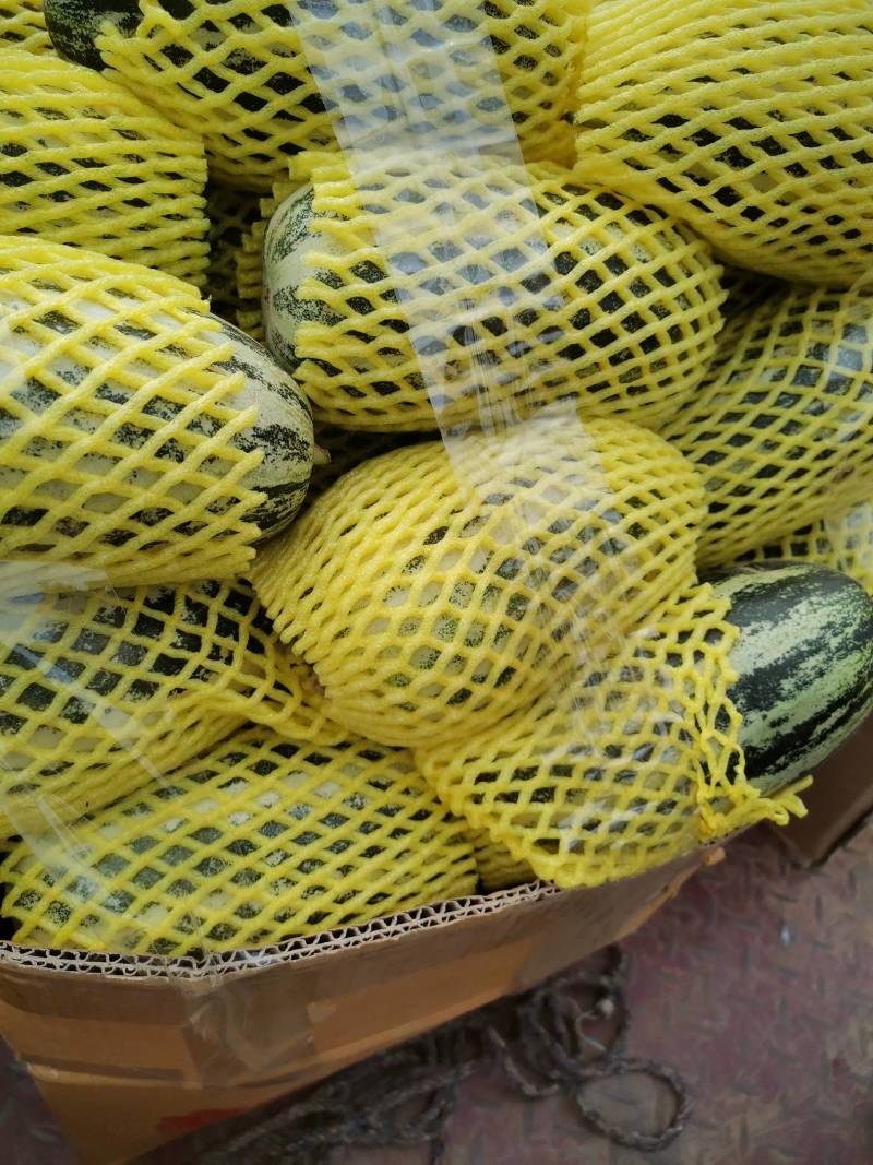 博洋九甜瓜，脆甜可口