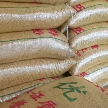 豆腐豆脑豆皮及各种豆制品专用豆，东北豆苏北大白皮