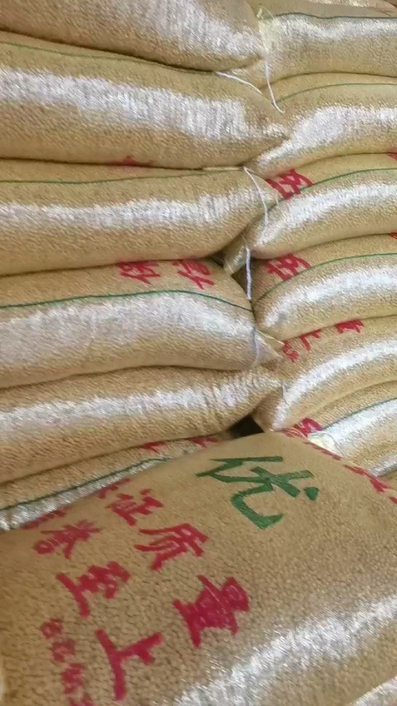 豆腐豆脑豆皮及各种豆制品专用豆，东北豆苏北大白皮