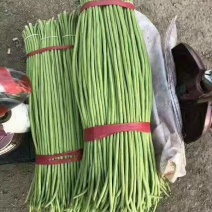 【长豆角】产地大量供应优质长豆角颜色绿条形长适合各大市场