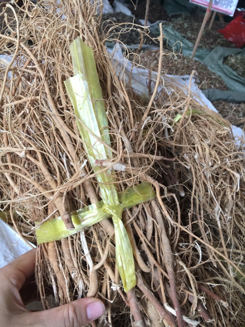 石参根石参根量大包邮中药材批发零售