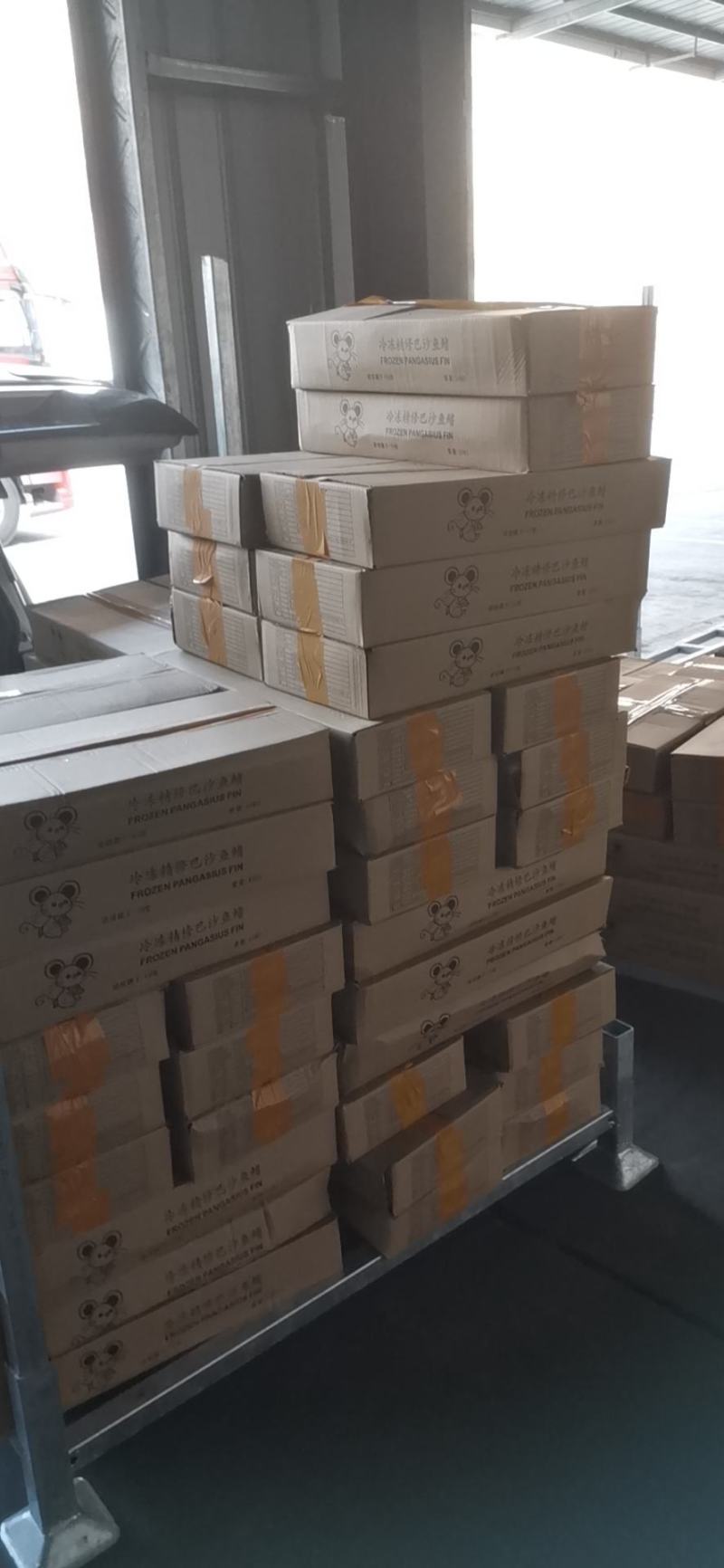 巴沙鱼鳍，每天两柜发往全国各地，有需要的老板欢迎咨询