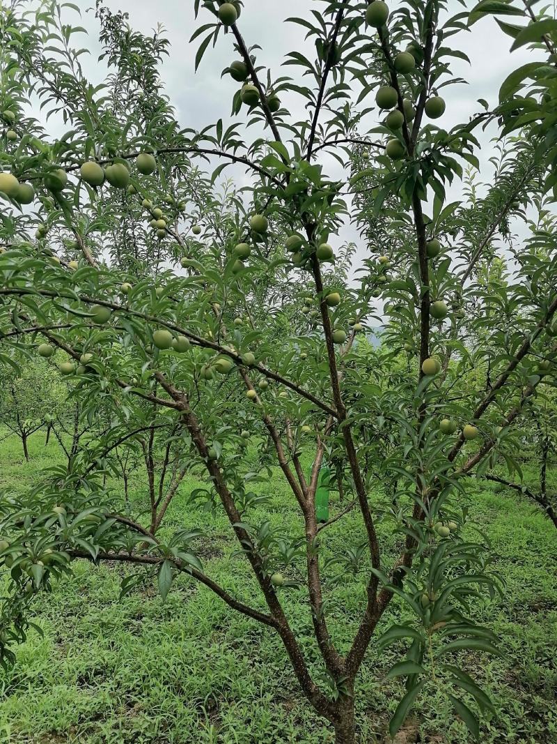 数量不多价格优惠