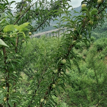 数量不多价格优惠
