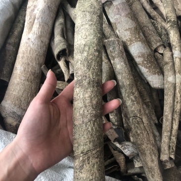 中药材批发市场救必应九层皮白木香量大从优