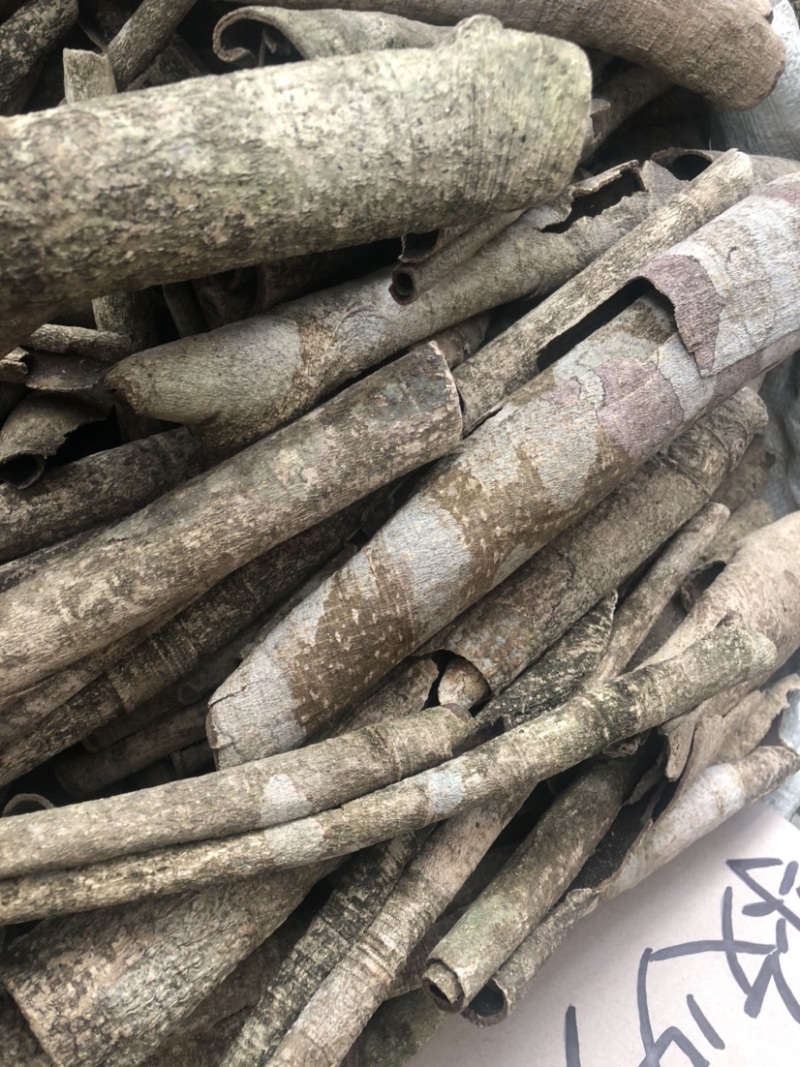 中药材批发市场救必应九层皮白木香量大从优