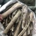 中药材批发市场救必应九层皮白木香量大从优