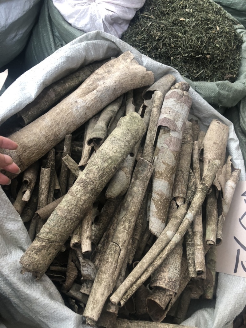中药材批发市场救必应九层皮白木香量大从优