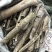 中药材批发市场救必应九层皮白木香量大从优