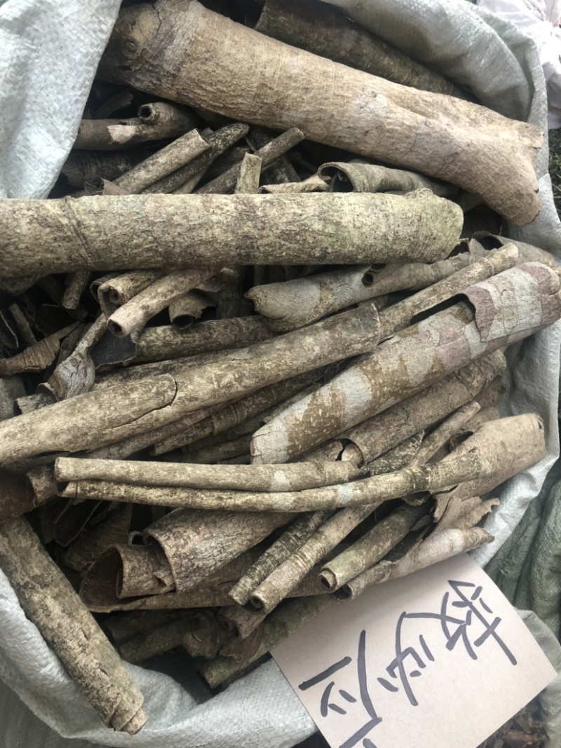 中药材批发市场救必应九层皮白木香量大从优