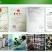 益富源牛羊益生菌调理肠胃消化拉稀反刍动物用饲料添加剂犊牛