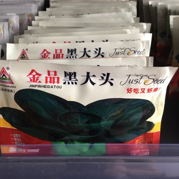 金品黑大头苏州青白菜种子