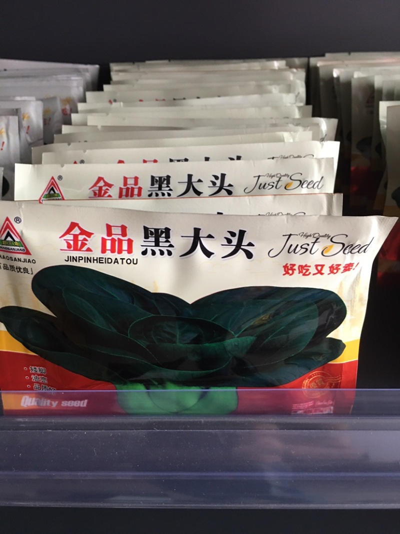 金品黑大头苏州青白菜种子