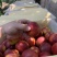 油桃黄肉