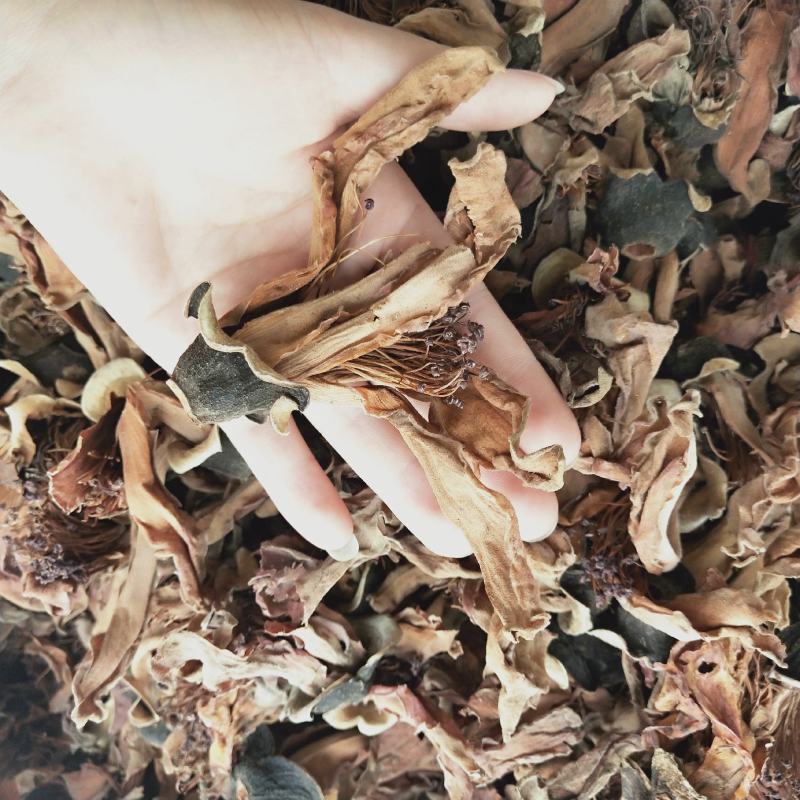 中药材木棉花大货供应批发零售质量保证