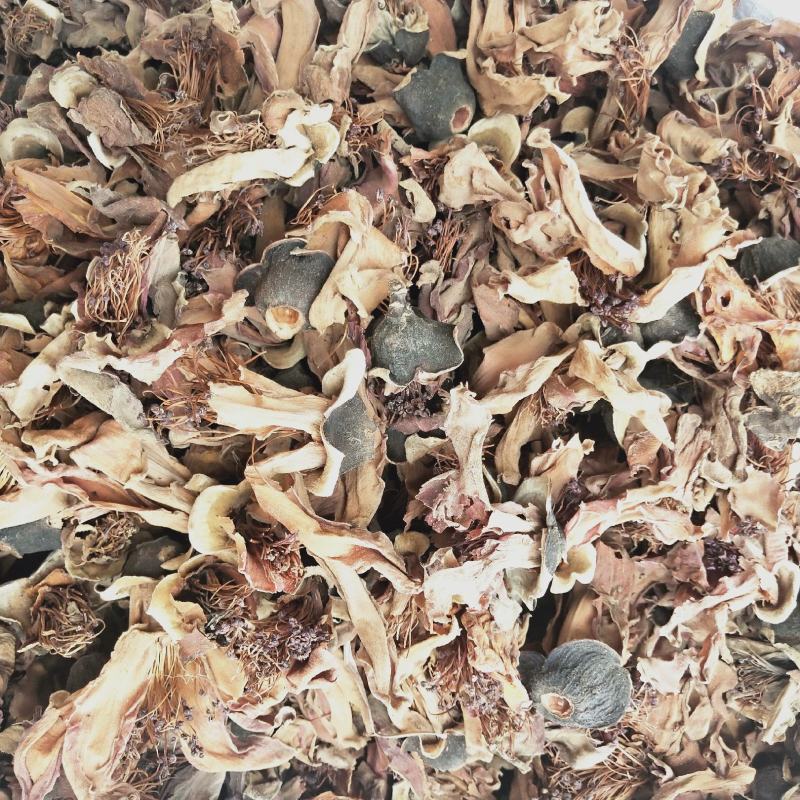 中药材木棉花大货供应批发零售质量保证