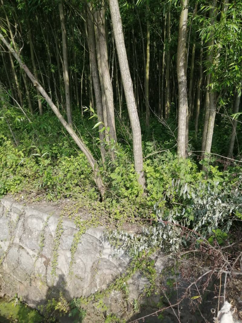 厂地直销，量大从优，视频看货。