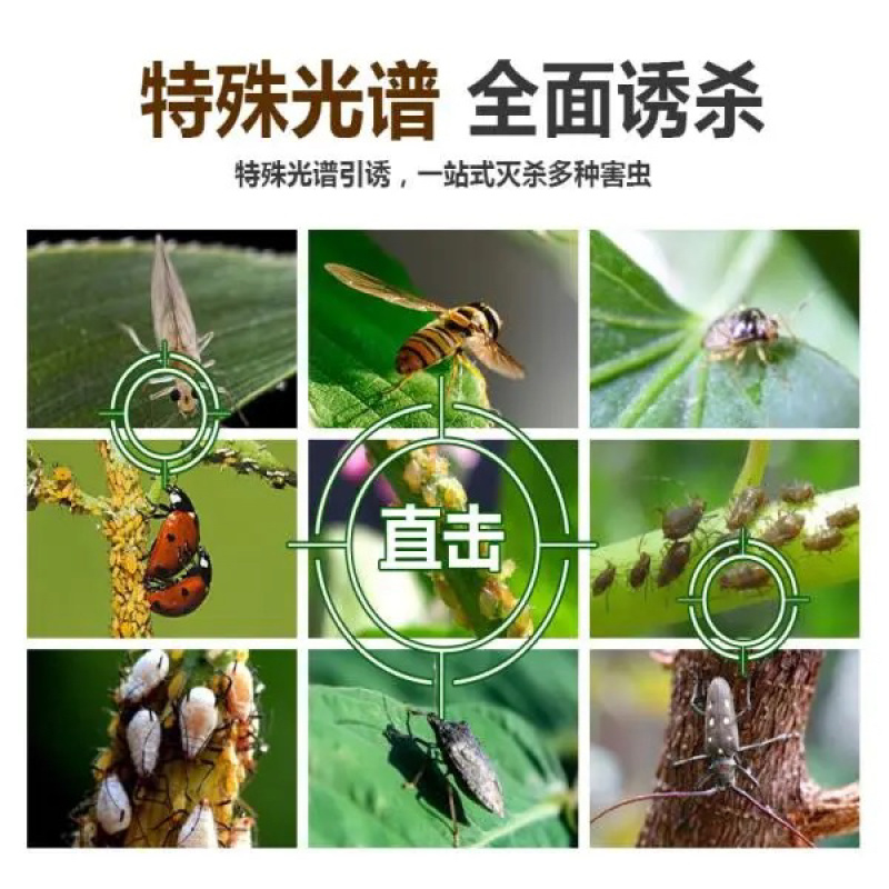 双面粘虫板黄蓝一体大棚蔬菜果园有效灭虫板诱虫板蓝板小黑飞