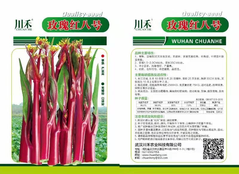 红菜苔种子，无限生长型