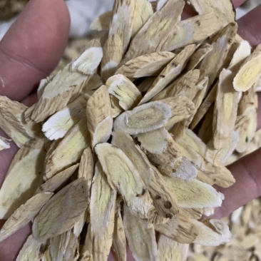 黄芪1.2～1.4指甲片精品产地直销