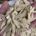 黄芪1.2～1.4指甲片精品产地直销
