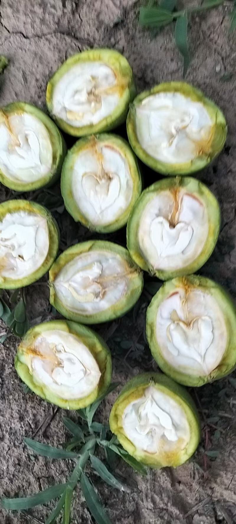 核桃【推荐】金博丰礼品2号青皮核桃特大丰产地直销现摘现