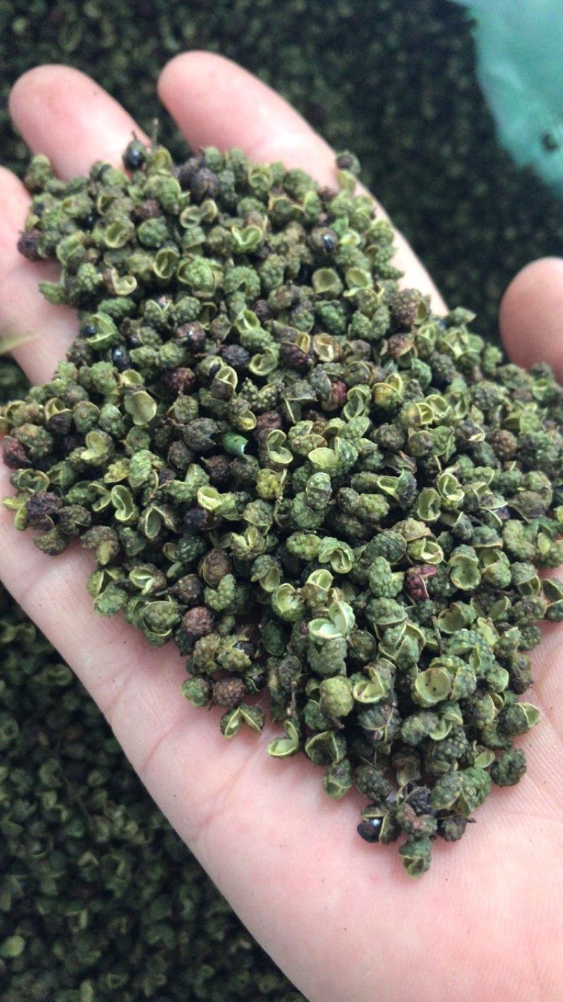 鲜干花椒、青麻椒产地直发欢迎咨询清花椒、鲜花椒