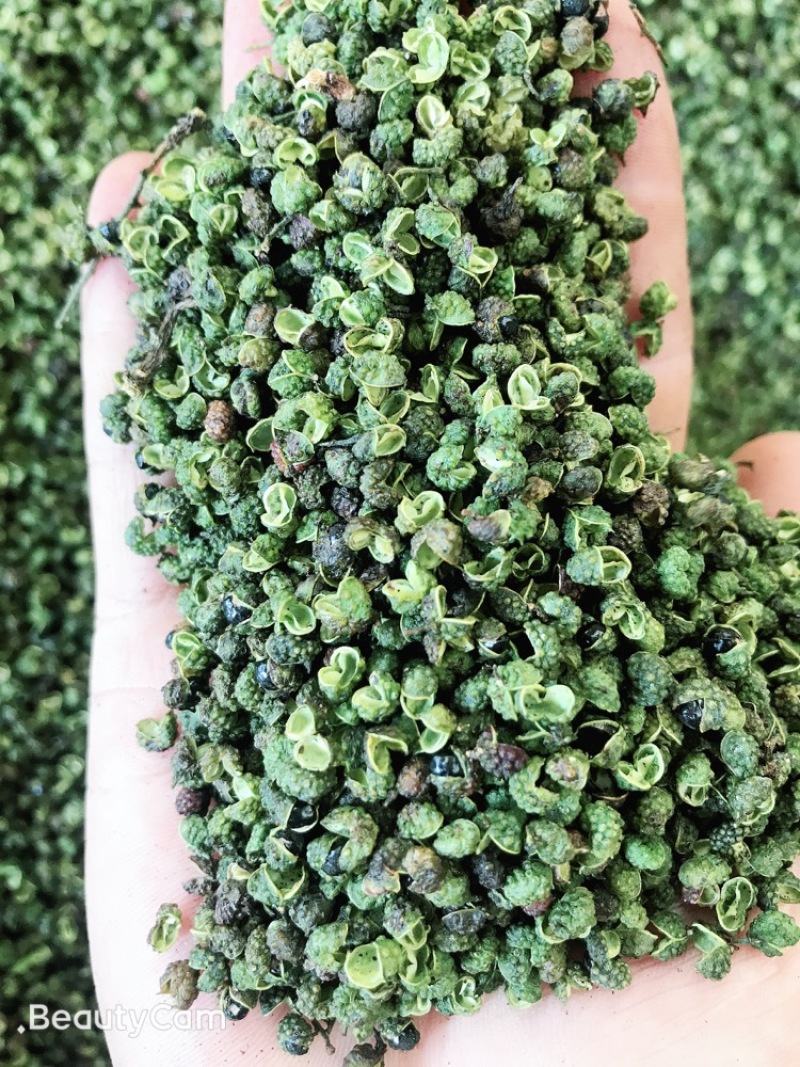 鲜干花椒、青麻椒产地直发欢迎咨询清花椒、鲜花椒